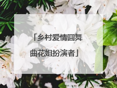 乡村爱情圆舞曲花姐扮演者