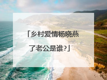 乡村爱情杨晓燕了老公是谁?