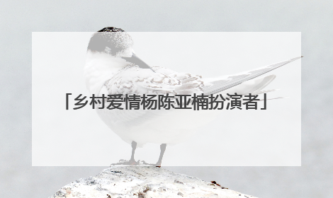 乡村爱情杨陈亚楠扮演者