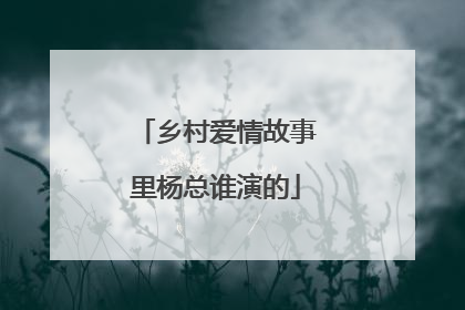乡村爱情故事里杨总谁演的