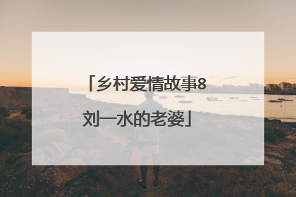 乡村爱情故事8刘一水的老婆