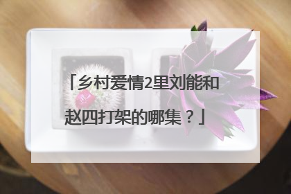 乡村爱情2里刘能和赵四打架的哪集?