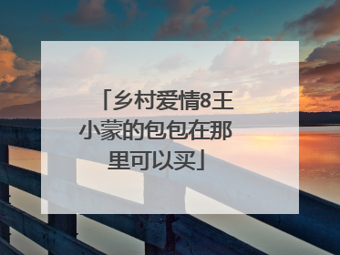 乡村爱情8王小蒙的包包在那里可以买