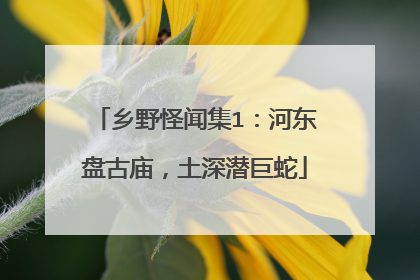 乡野怪闻集1：河东盘古庙，土深潜巨蛇