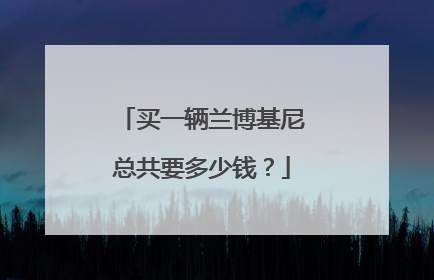买一辆兰博基尼总共要多少钱?