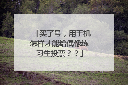 买了号，用手机怎样才能给偶像练习生投票？？