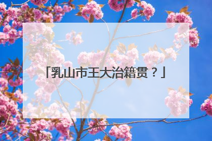 乳山市王大治籍贯？