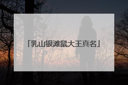 乳山银滩鼠大王真名