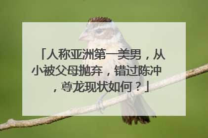 人称亚洲第一美男,从小被父母抛弃,错过陈冲,尊龙现状如何?