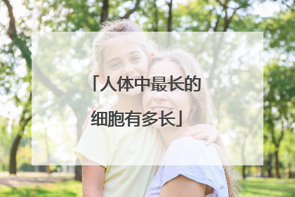 人体中最长的细胞有多长