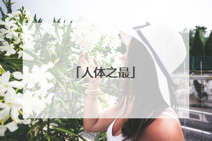 人体之最