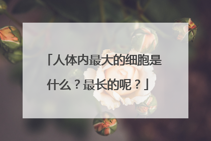 人体内最大的细胞是什么?最长的呢?