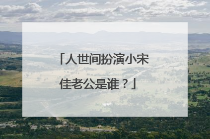 人世间扮演小宋佳老公是谁？
