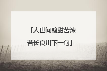 人世间酸甜苦辣若长良川下一句