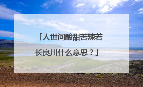 人世间酸甜苦辣若长良川什么意思？