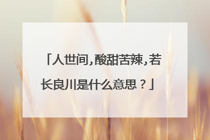 人世间,酸甜苦辣,若长良川是什么意思？