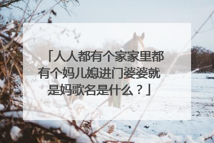 人人都有个家家里都有个妈儿媳进门婆婆就是妈歌名是什么？