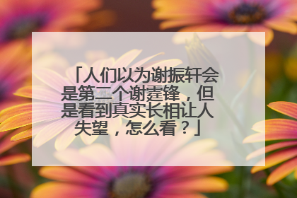 人们以为谢振轩会是第二个谢霆锋，但是看到真实长相让人失望，怎么看？