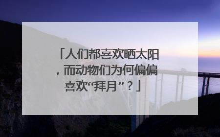 人们都喜欢晒太阳，而动物们为何偏偏喜欢“拜月”？