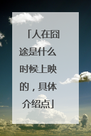 人在囧途是什么时候上映的，具体介绍点