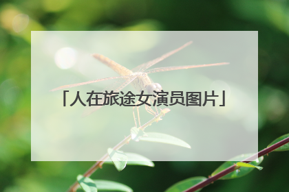 人在旅途女演员图片
