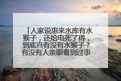 人家说惠来水库有水猴子，还给电死了得，到底真有没有水猴子？有没有人亲眼看到过事实。谢谢！