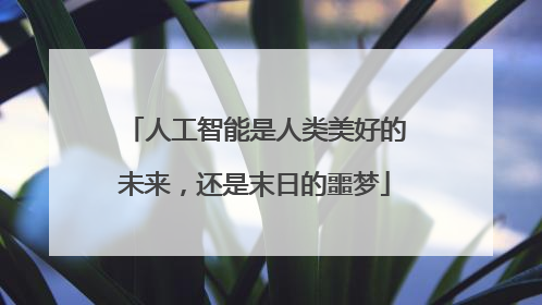 人工智能是人类美好的未来，还是末日的噩梦