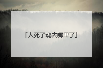 人死了魂去哪里了