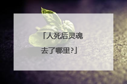 人死后灵魂去了哪里?