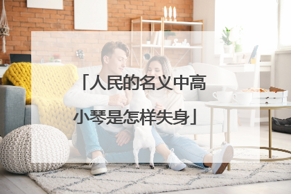 人民的名义中高小琴是怎样失身