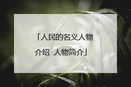 人民的名义人物介绍 人物简介