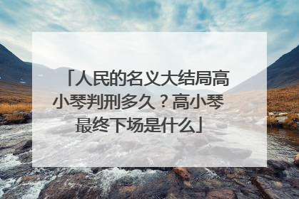 人民的名义大结局高小琴判刑多久?高小琴最终下场是什么