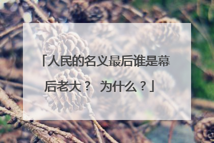 人民的名义最后谁是幕后老大? 为什么?