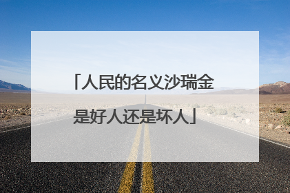 人民的名义沙瑞金是好人还是坏人