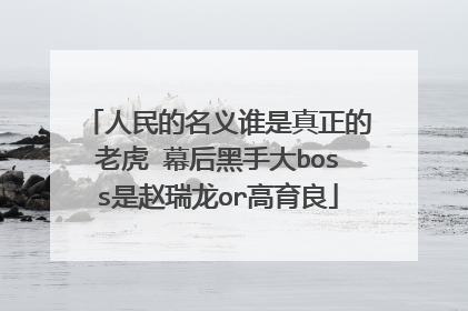 人民的名义谁是真正的老虎 幕后黑手大boss是赵瑞龙or高育良