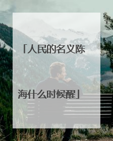 人民的名义陈海什么时候醒