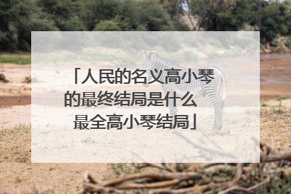 人民的名义高小琴的最终结局是什么 最全高小琴结局