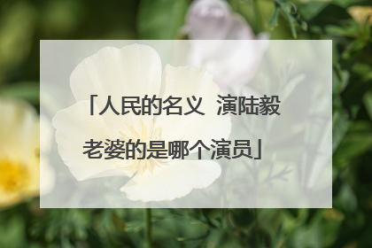 人民的名义 演陆毅老婆的是哪个演员