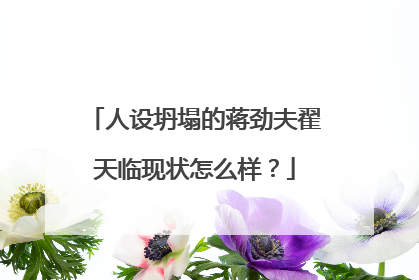 人设坍塌的蒋劲夫翟天临现状怎么样？