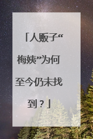 人贩子“梅姨”为何至今仍未找到？