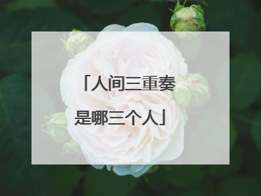人间三重奏是哪三个人