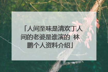 人间至味是清欢丁人间的老婆是谁演的 林鹏个人资料介绍