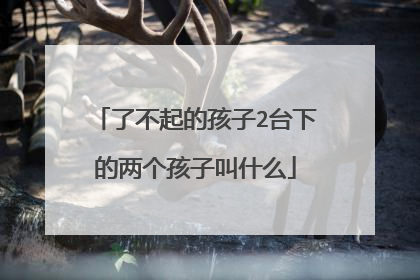 了不起的孩子2台下的两个孩子叫什么