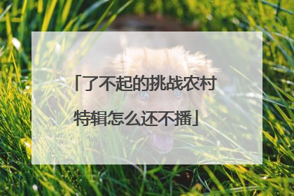 了不起的挑战农村特辑怎么还不播