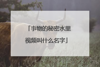 事物的秘密水里视频叫什么名字