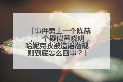 事件男主一个陈赫，一个疑似黄晓明，哈妮克孜被造谣潜规则到底怎么回事？