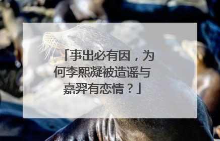 事出必有因,为何李熙凝被造谣与嘉羿有恋情?