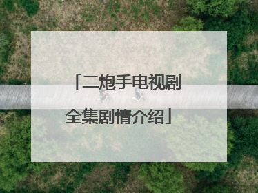 二炮手电视剧全集剧情介绍