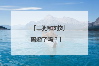 二狗和刘刘离婚了吗?