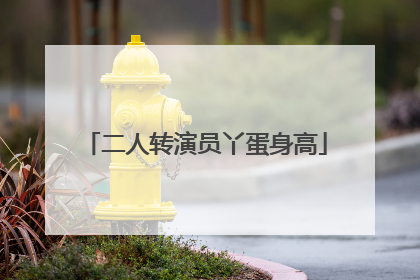 二人转演员丫蛋身高